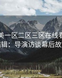 国产欧美一区二区三区在线看专访王编辑：导演访谈幕后故事