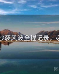 91爆料抄袭风波全程记录，必看指南