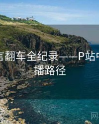 全面代言翻车全纪录——P站中文版传播路径