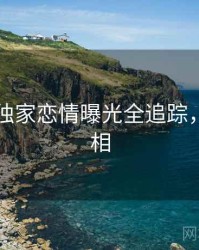 91在线独家恋情曝光全追踪，揭秘真相