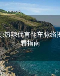 黑料资源热辣代言翻车脉络揭秘，必看指南