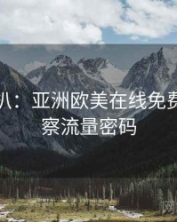 独家深扒：亚洲欧美在线免费业界观察流量密码