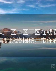 国产欧美一区二区三区在线看热辣影评集锦脉络揭秘，带你看透